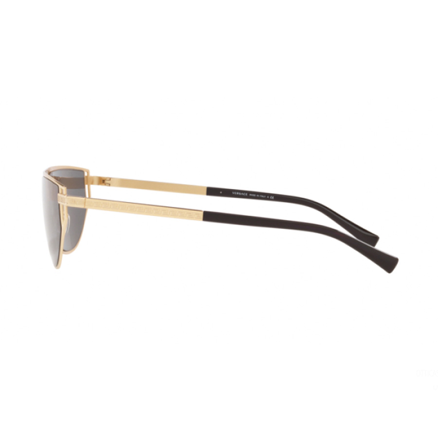 Kính Mát Versace Sunglasses Luke Evans VE 2213 (100287) Màu Xám
