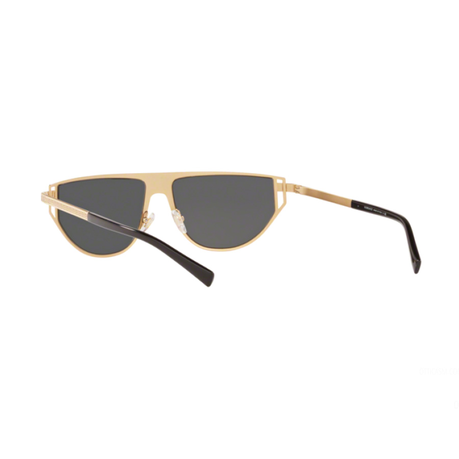 Kính Mát Versace Sunglasses Luke Evans VE 2213 (100287) Màu Xám