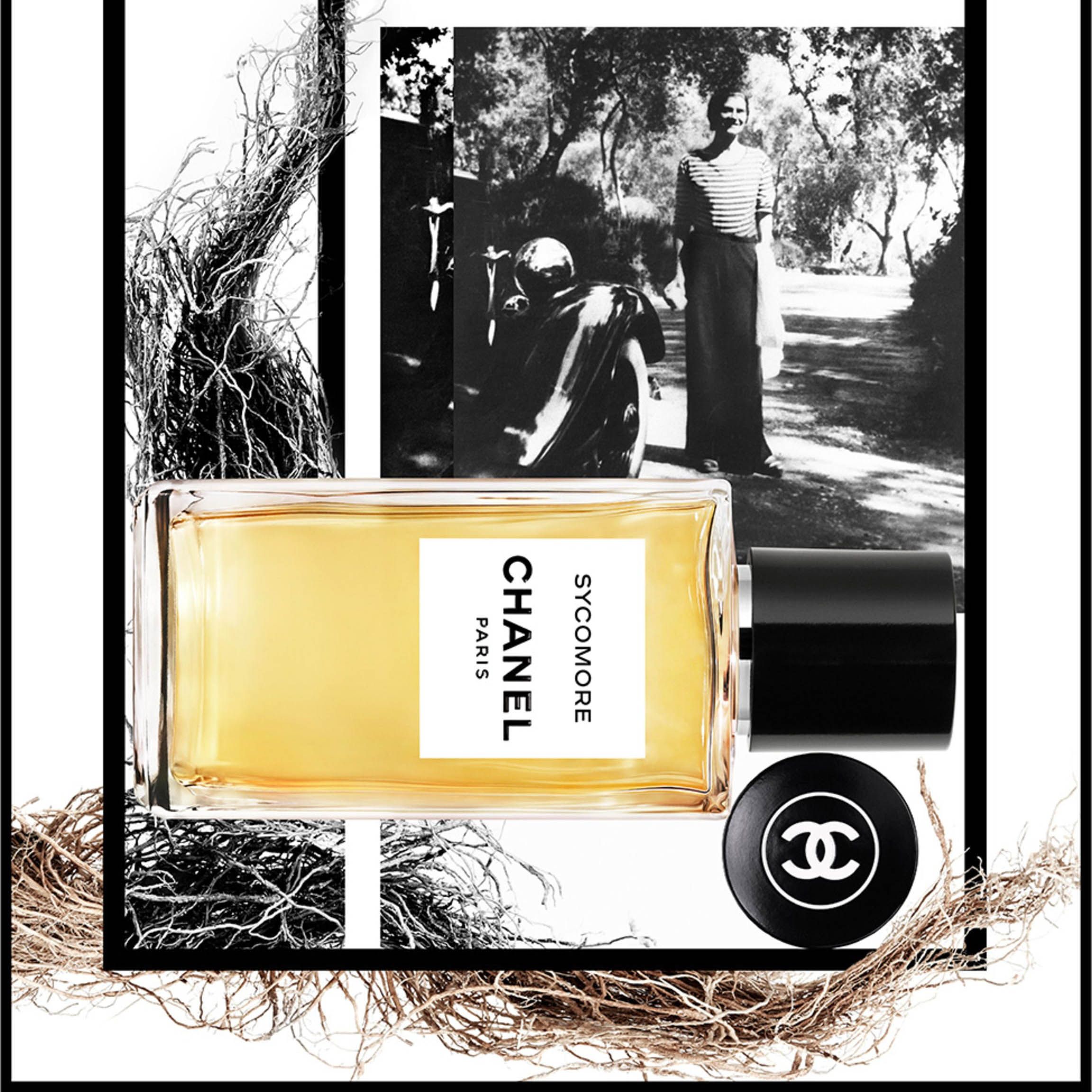 Nước Hoa Nữ Chanel Les Exclusifs Sycomore EDP 75ml