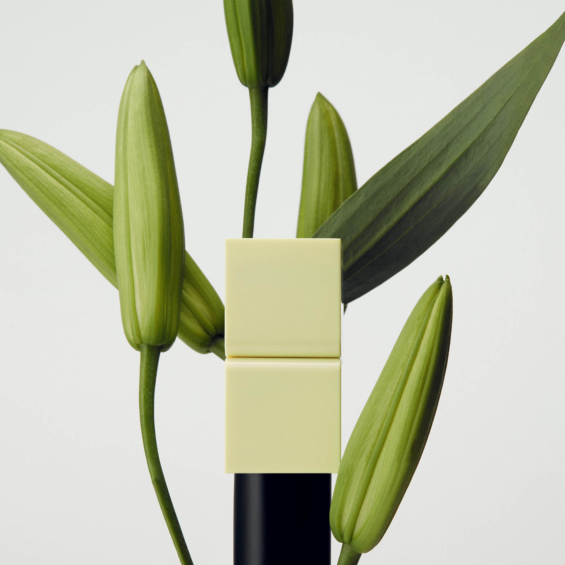 Nước Hoa Sáp Unisex Tamburins Perfume Balm Lale 6.5g