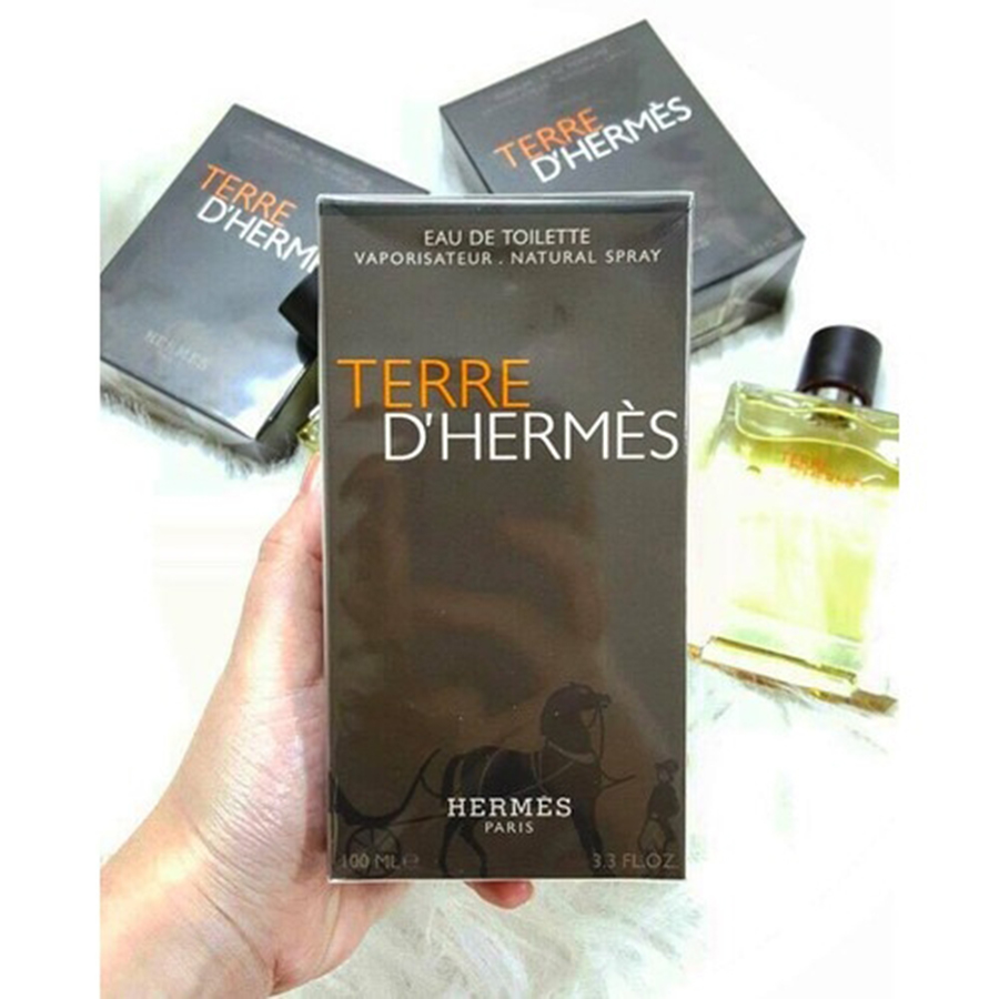 Nước Hoa Nam Terre D'Hermes Eau de Toilette 100ml