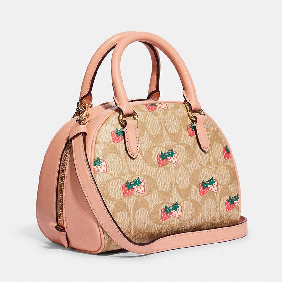 Coach Sydney hotsell Satchel in Signature Canvas with Strawberry Print