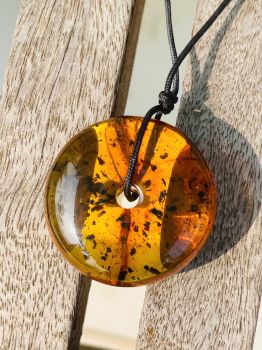 Hổ Phách Vũ Anh – Tinh Hoa Tự Nhiên Từ Vùng Đất Nga Baltic