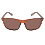 Kính Mát Nam Calvin Klein Men's Sunglasses CK19568S-210 Màu Nâu