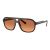 Kính Mát Nam Dolce & Gabbana D&G DG6179 329578 Sunglasses Men's Màu Nâu Cam