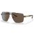 Kính Mát Nam Armani Exchange 0AX2037S_60017360.CS Màu Nâu