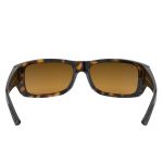 Kính Mát Rayban Men's Fashion Light Havana Sunglasses RB4283CH 710-A3 64 Màu Nâu