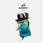 Nước Hoa Nam Burberry Mr. Burberry Element For Men EDT 150ml