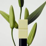 Nước Hoa Sáp Unisex Tamburins Perfume Balm Lale 6.5g