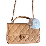 Túi Đeo Chéo Nữ Chanel Woc Handle Lambskin Màu Caramel