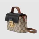 Túi Đeo Chéo Gucci Padlock Mini Bag Màu Đen
