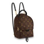 Balo Nữ Louis Vuitton LV Palm Springs Mini M44873 Màu Nâu Đen